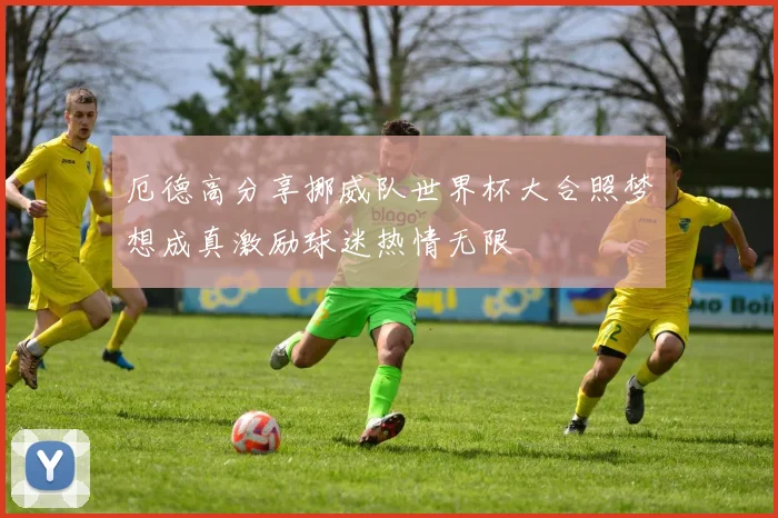 厄德高分享挪威队世界杯大合照梦想成真激励球迷热情无限