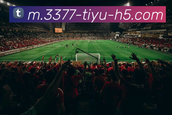 3377体育APP 体育赛事宣传图